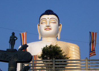 Коcгода, Шри-Ланка, фото № 51539 – фотографии Шри-Ланки