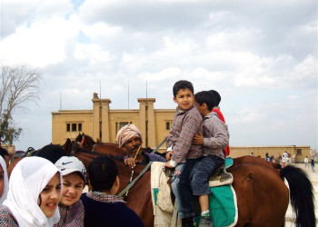 Египет, фото № 557 – фотографии Египта