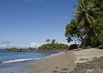 о.Каньо, Пунтаренас провинция, Коста-Рика, фото № 40825 – фотографии Коста-Рики