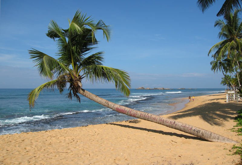 Хиккадува, Шри-Ланка, фото № 52523 – фотографии Шри-Ланки