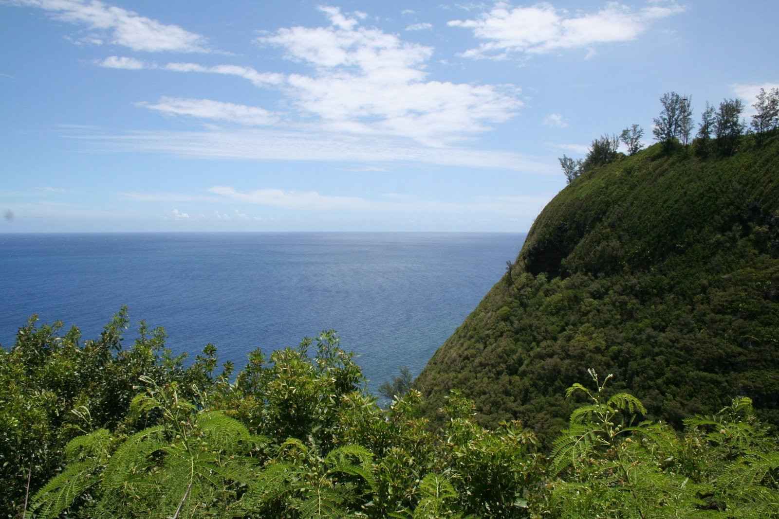 Остров Реюньон, район Сен-Жозеф. Фото 3 – фотографии Реюньона