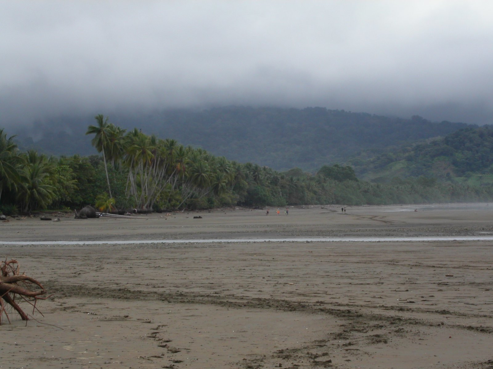 Плайя Увита, Пунтаренас провинция, Коста-Рика, фото № 40977 – фотографии Коста-Рики