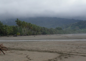 Плайя Увита, Пунтаренас провинция, Коста-Рика, фото № 40977 – фотографии Коста-Рики