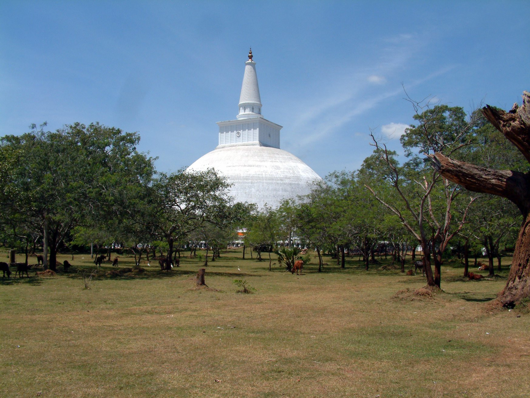 Анурадхапура, Шри-Ланка, фото № 50483 – фотографии Шри-Ланки