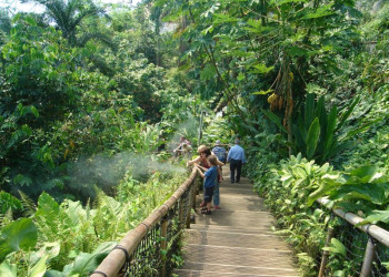 Проект «Эдем» — ботанический сад – фотографии Великобритании