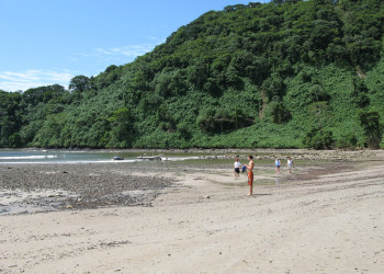 о.Кокос, Пунтаренас провинция, Коста-Рика, фото № 40874 – фотографии Коста-Рики