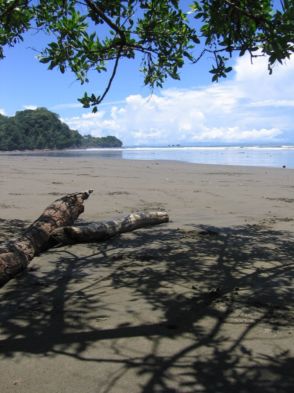 Плайя Увита, Пунтаренас провинция, Коста-Рика, фото № 40983 – фотографии Коста-Рики