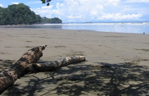 Плайя Увита, Пунтаренас провинция, Коста-Рика, фото № 40983 – фотографии Коста-Рики