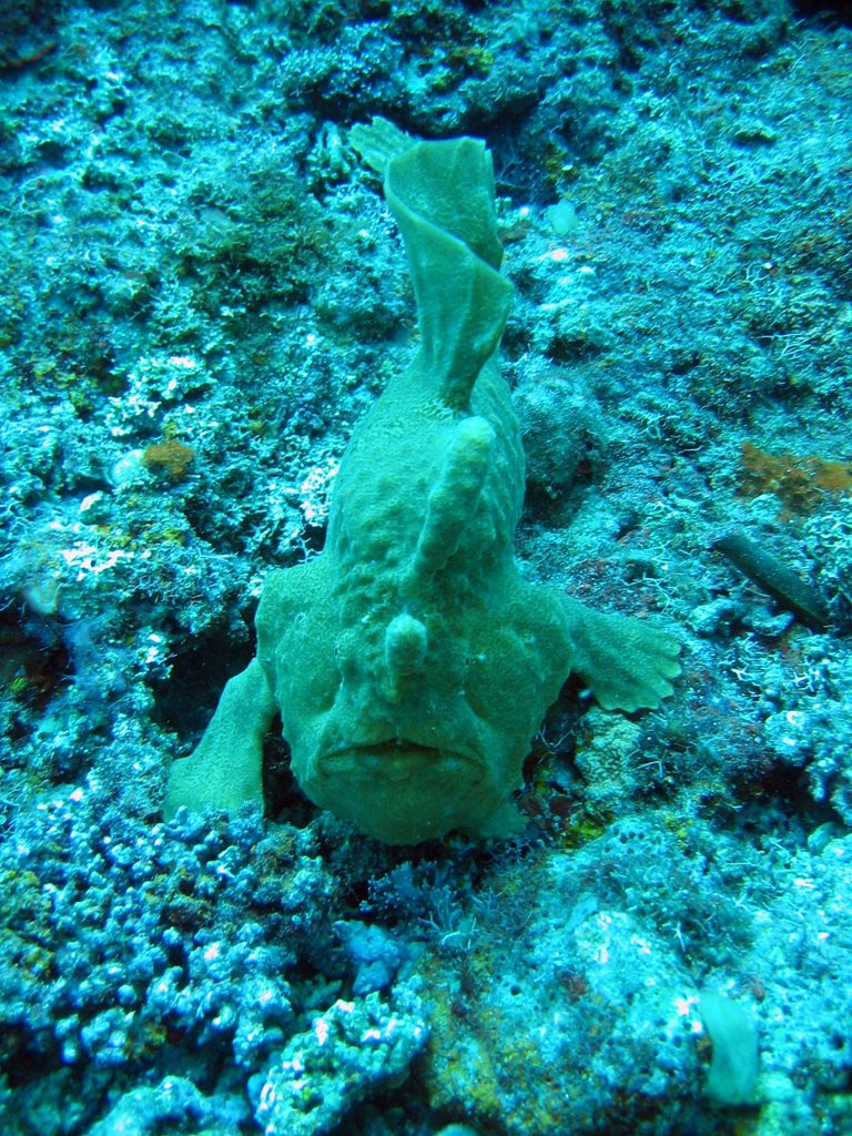 Тихоокеанское государство Вануату (Vanuatu). Фото 10 – фотографии Вануату