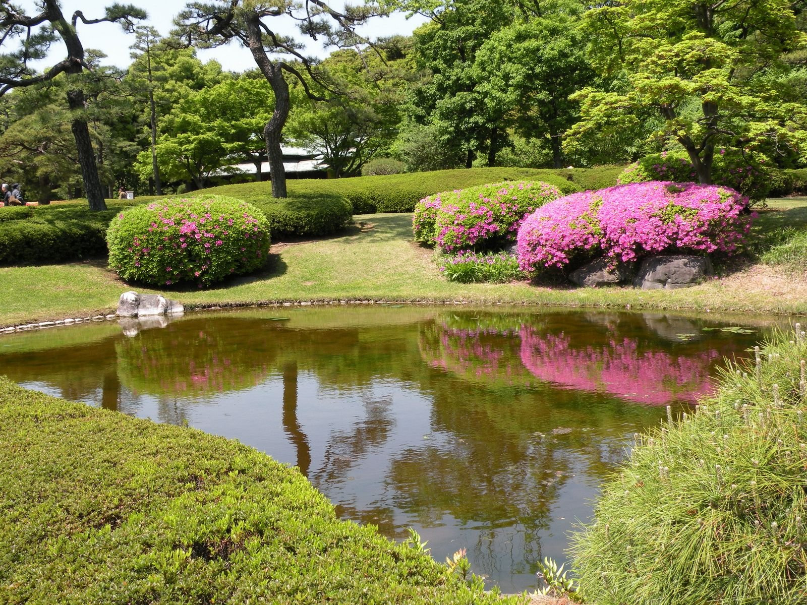 Tokyo – фотографии Японии