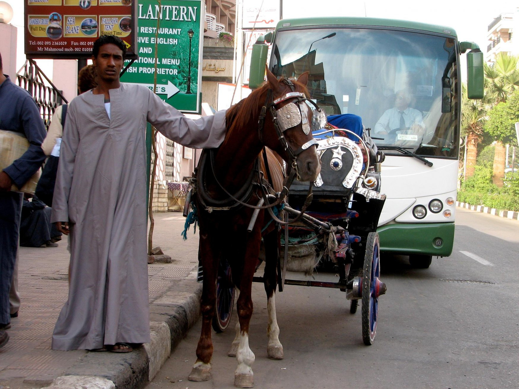 Луксор, Египет, фото № 35250 – фотографии Египта
