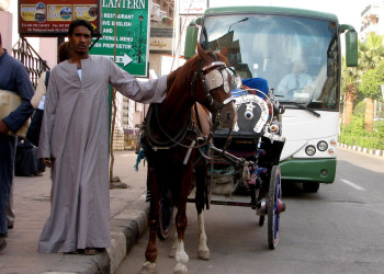 Луксор, Египет, фото № 35250 – фотографии Египта
