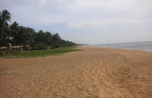 Маравила, Шри-Ланка, фото № 51711 – фотографии Шри-Ланки