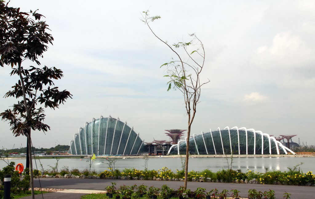 Сингапур, фото № 5180 – фотографии Сингапура