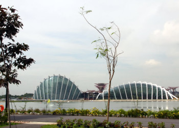 Сингапур, фото № 5180 – фотографии Сингапура