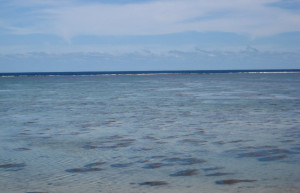 Корал Коаст, Вити Леву остров, Вити Леву группа островов, Фиджи, фото № 49502 – фотографии Фиджи