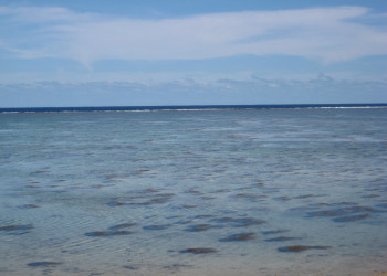 Корал Коаст, Вити Леву остров, Вити Леву группа островов, Фиджи, фото № 49502 – фотографии Фиджи