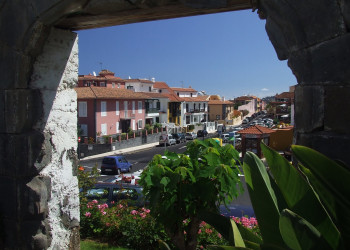 Ла-Оротава, Тенерифе остров, Канарские острова, фото № 33312 – фотографии Канарских островов