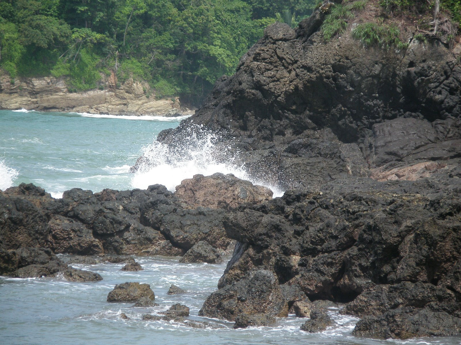 Мануэль Антонио, Пунтаренас провинция, Коста-Рика, фото № 40637 – фотографии Коста-Рики