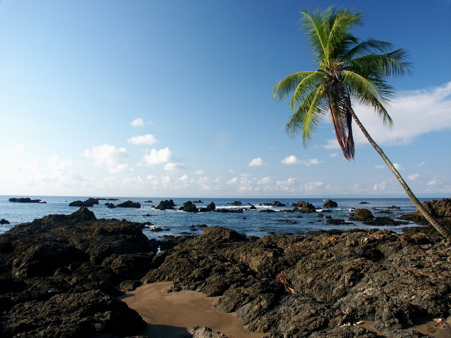 Корковадо Национальный Парк, Пунтаренас провинция, Коста-Рика, фото № 40545 – фотографии Коста-Рики