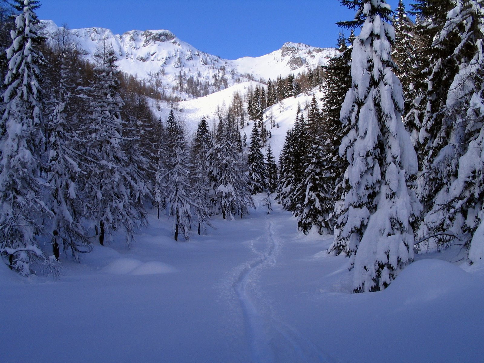 Поклюка, Словения, фото № 57403 – фотографии Словении