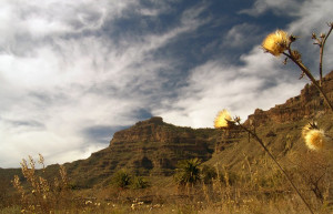 Техеда, Гран-Канария остров, Канарские острова, фото № 31459 – фотографии Канарских островов