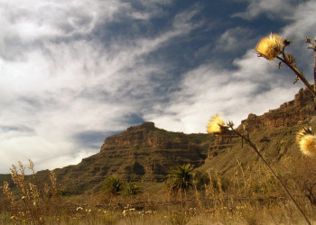 Техеда, Гран-Канария остров, Канарские острова, фото № 31459 – фотографии Канарских островов