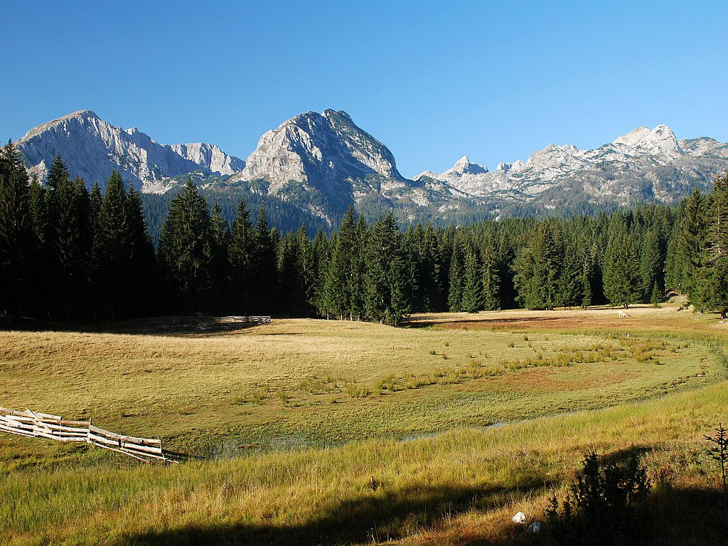 Поле в Дурмитор, Черногория. Фото 12 – фотографии Черногории