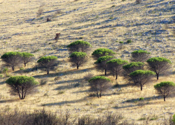 Природный парк, Хорватия. Фото 5 – фотографии Хорватии