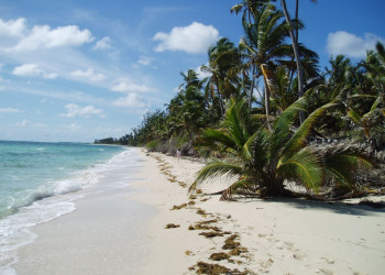 Пляж на острове Андрос, Багамские острова. Фото 10 – фотографии Багамских островов