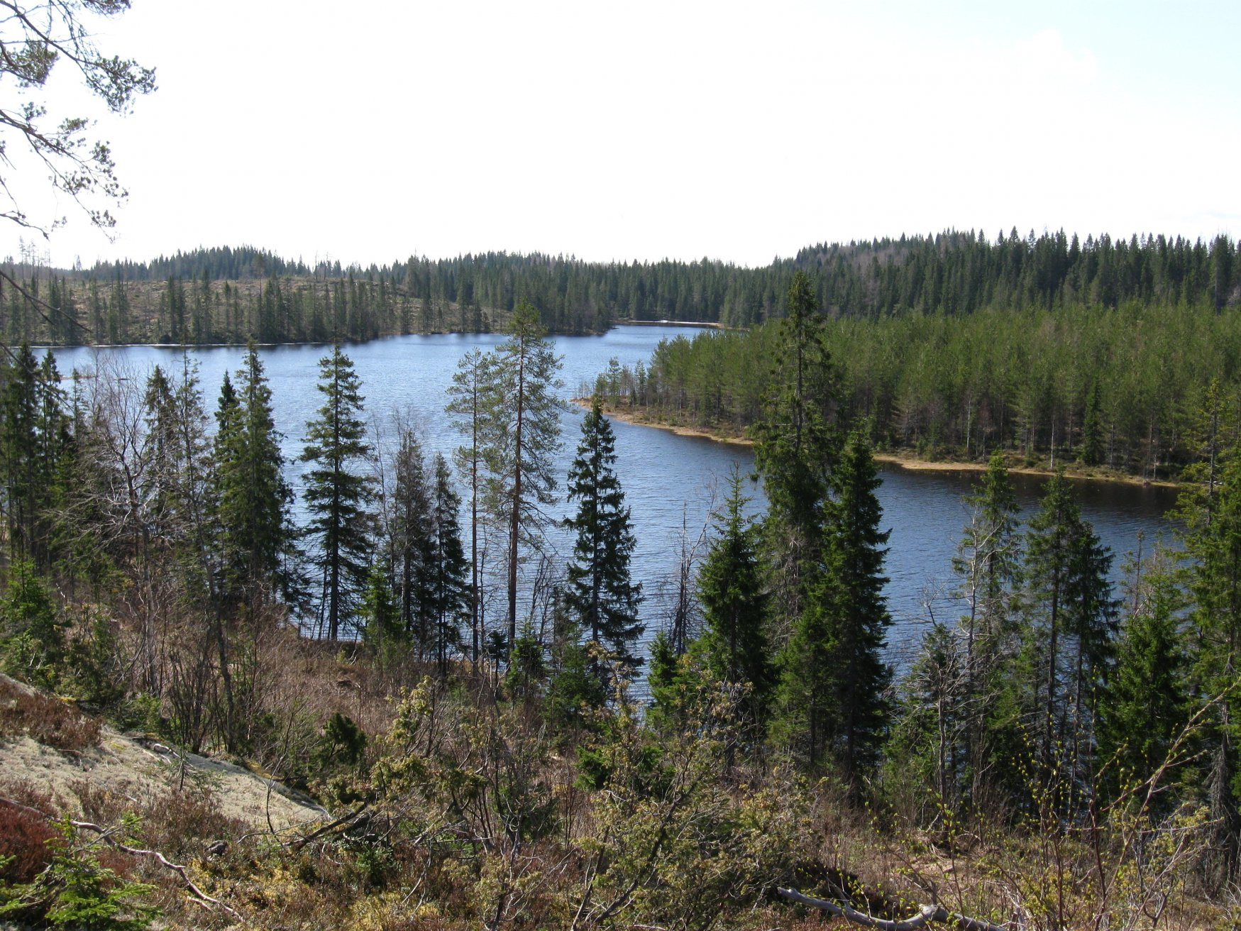 Финляндия, фото № 4564 – фотографии Финляндии