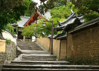 Nara – фотографии Японии