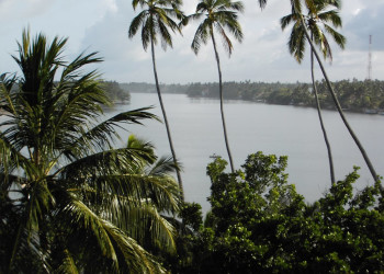 Бентота, Шри-Ланка, фото № 50690 – фотографии Шри-Ланки