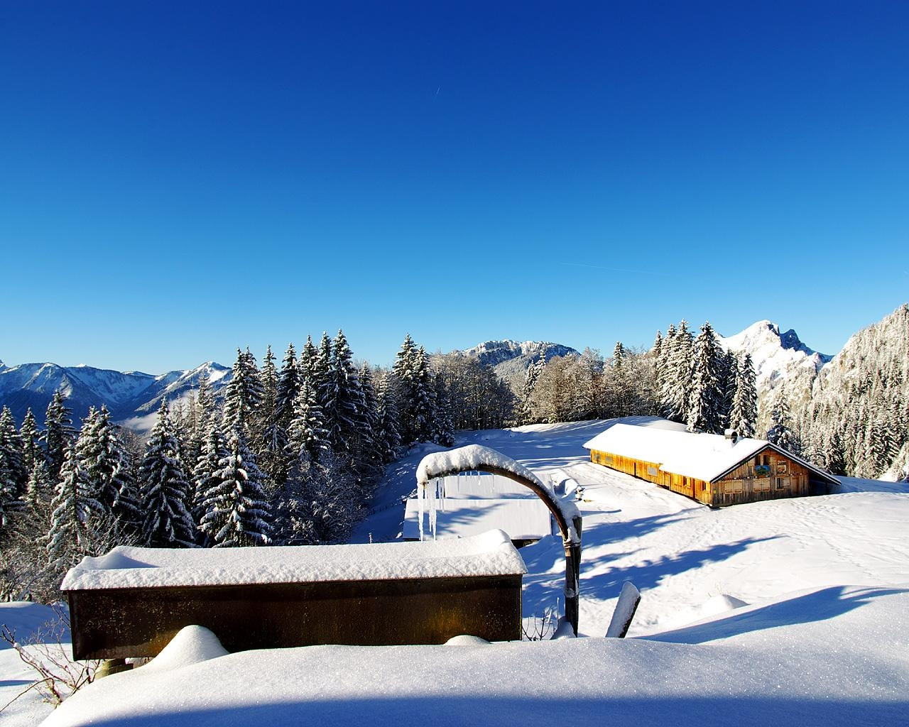 Природа в Сэн-Жан-Д'Ольп, Франция. Фото 1 – фотографии Франции