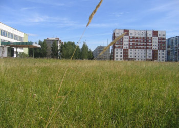 Дома в Ухте, Россия. Фото 3 – фотографии России