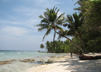 Пляж в Фаафу Атолл, Мальдивы – фотографии Мальдивских островов