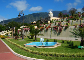 Ла-Оротава, Тенерифе остров, Канарские острова, фото № 33295 – фотографии Канарских островов