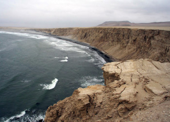 Национальный заповедник Паракас – фотографии Перу