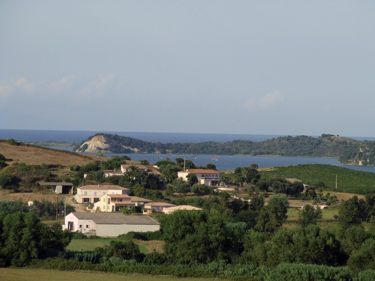 Природа в Алериа, Франция – фотографии Франции