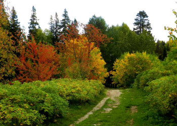 В Ботаническом саду на Большом Соловецком острове – фотографии России