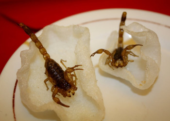 Пекин, Китай, фото № 67246 – фотографии Китая