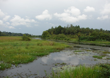 Ваддува, Шри-Ланка, фото № 50779 – фотографии Шри-Ланки