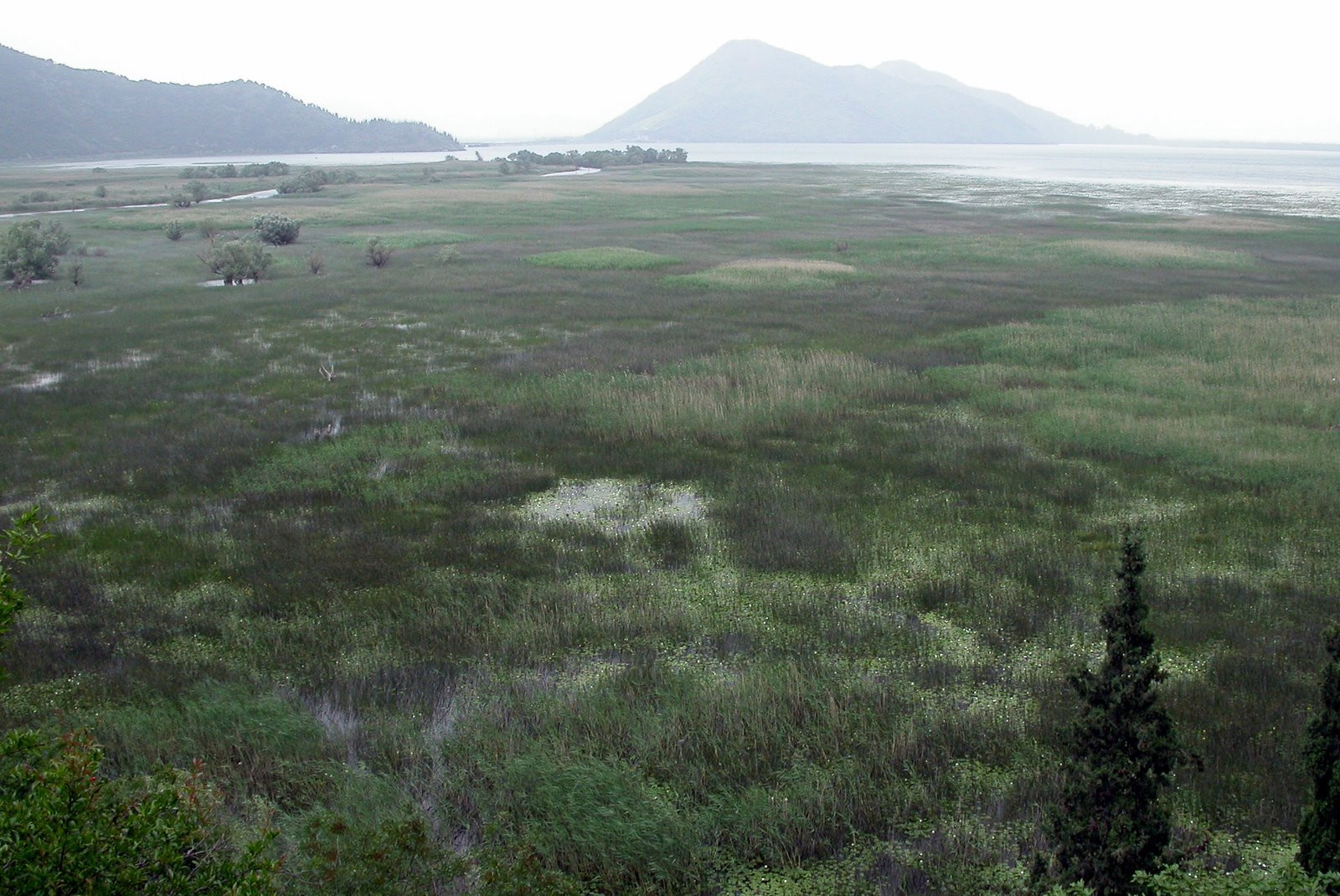Природа в Национальном парке, Черногория. Фото 7 – фотографии Черногории