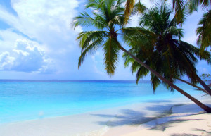 Пляж в Южный Мале Атолл, Мальдивы. Фото 6 – фотографии Мальдивских островов