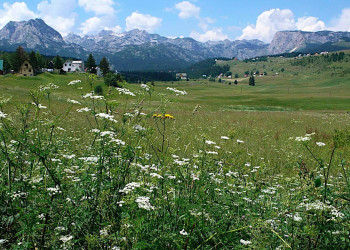 Природа в Жабляк, Черногория. Фото 7 – фотографии Черногории