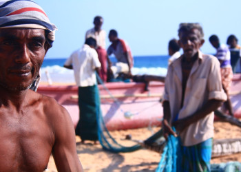 Шри-Ланка, фото № 2447 – фотографии Шри-Ланки