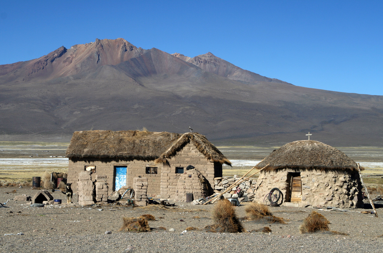 Национальный парк Сахама – фотографии Боливии