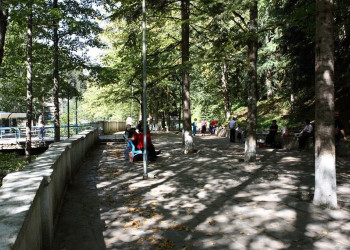 Саирме, Грузия, фото № 73594 – фотографии Грузии