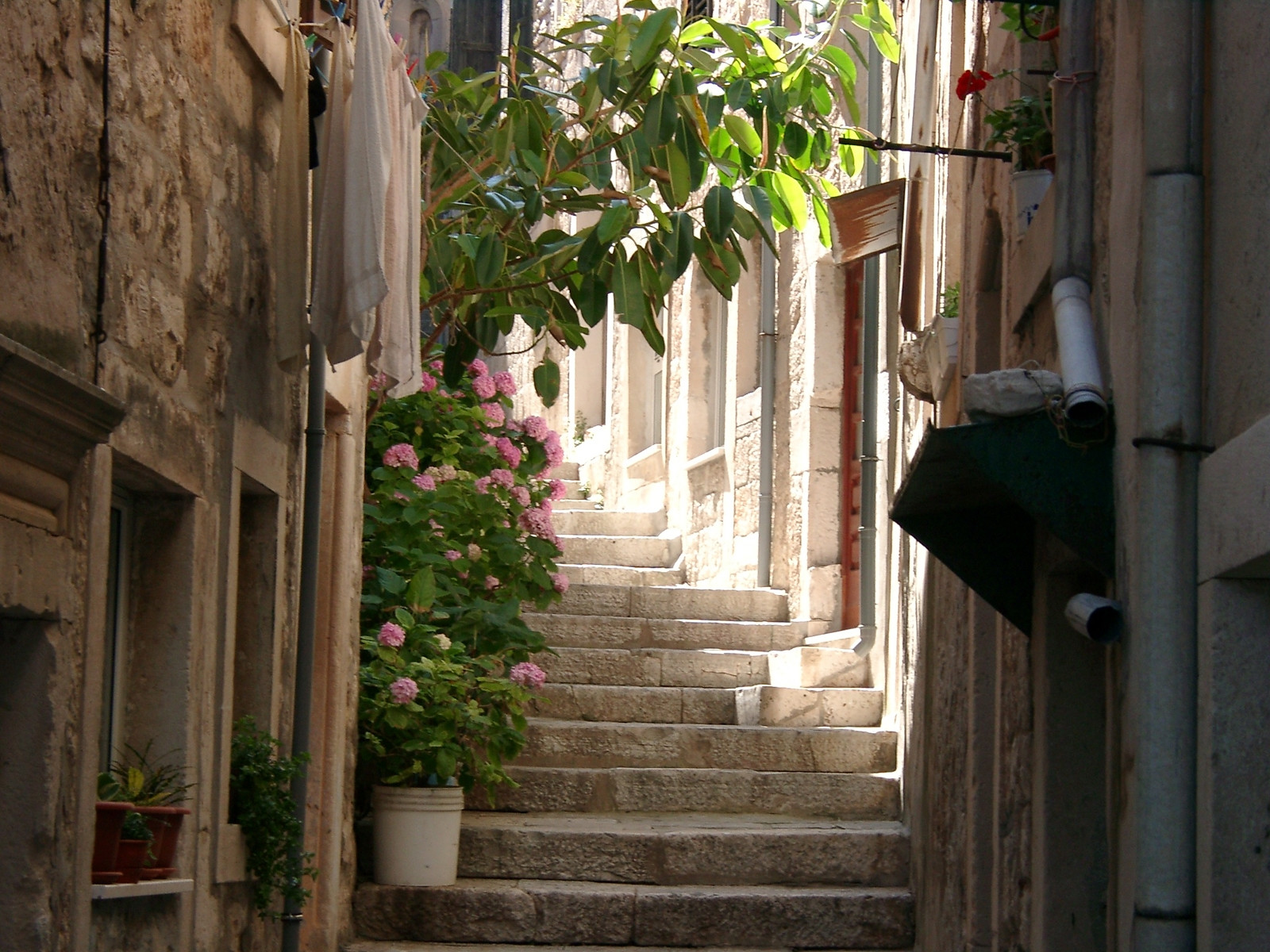 Дома в Корчула, Хорватия. Фото 23 – фотографии Хорватии