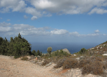 Кипр, фото № 750 – фотографии Кипра